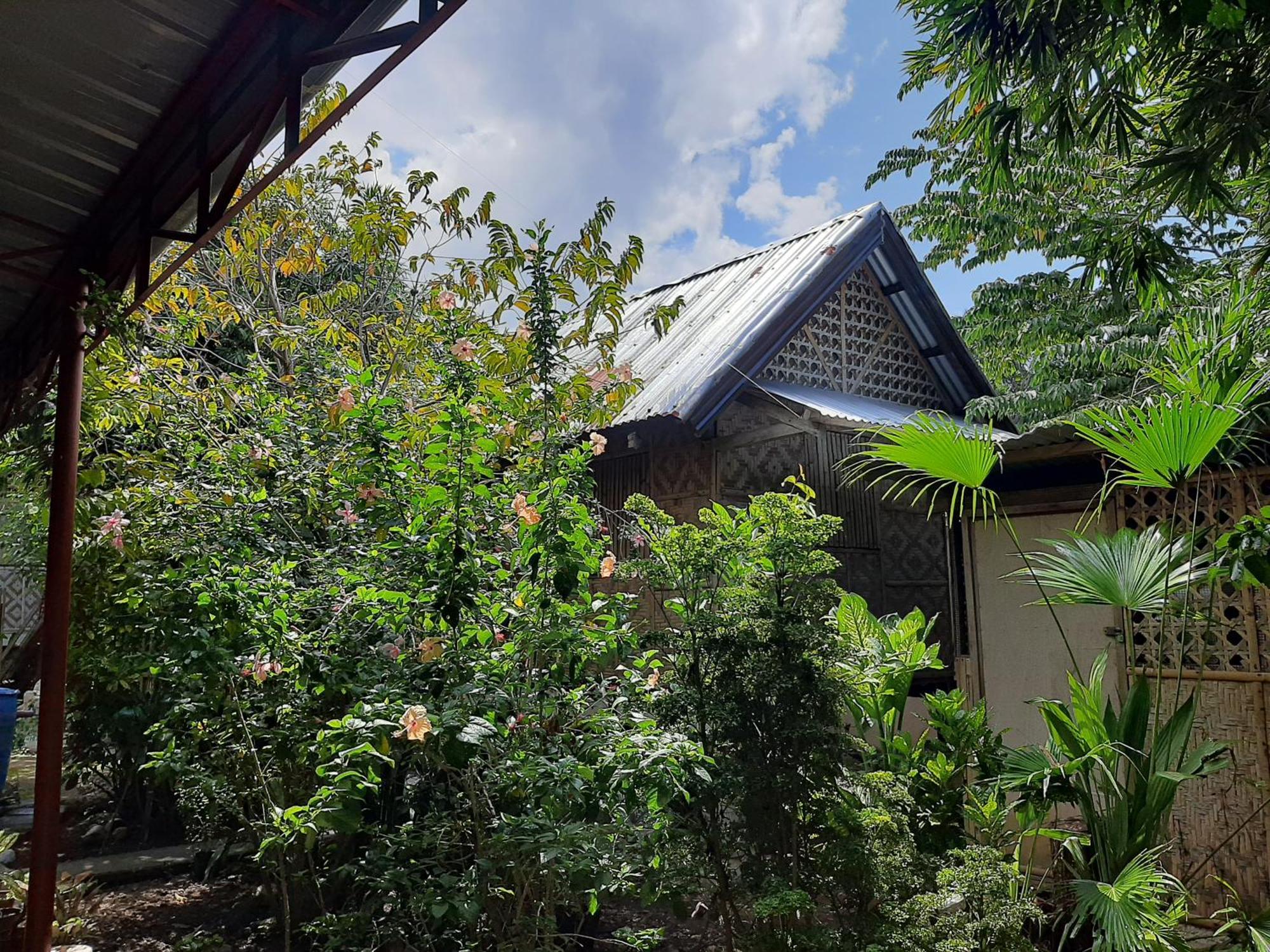 Apartment Alimpay Foresters Panglao