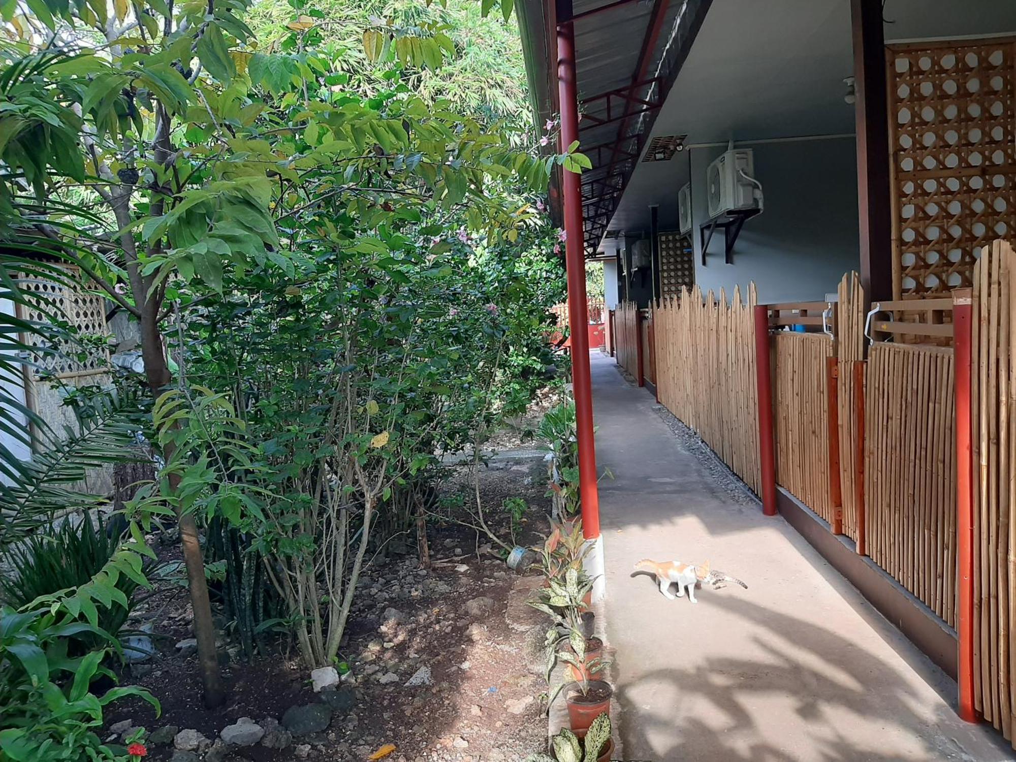 Apartment Alimpay Foresters